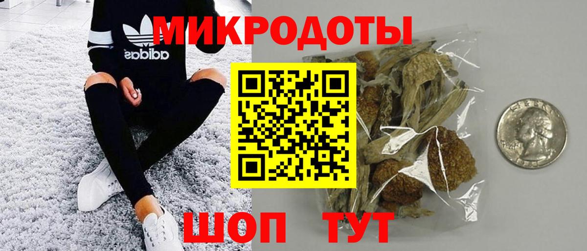 Галлюциногенные грибы Cubensis Нижний Новгород