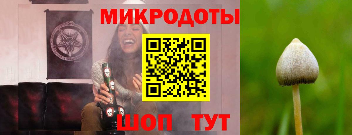 Галлюциногенные грибы Psilocybe  Галлюциногенные грибы Cubensis  Вход с VPN  Нижний Новгород 